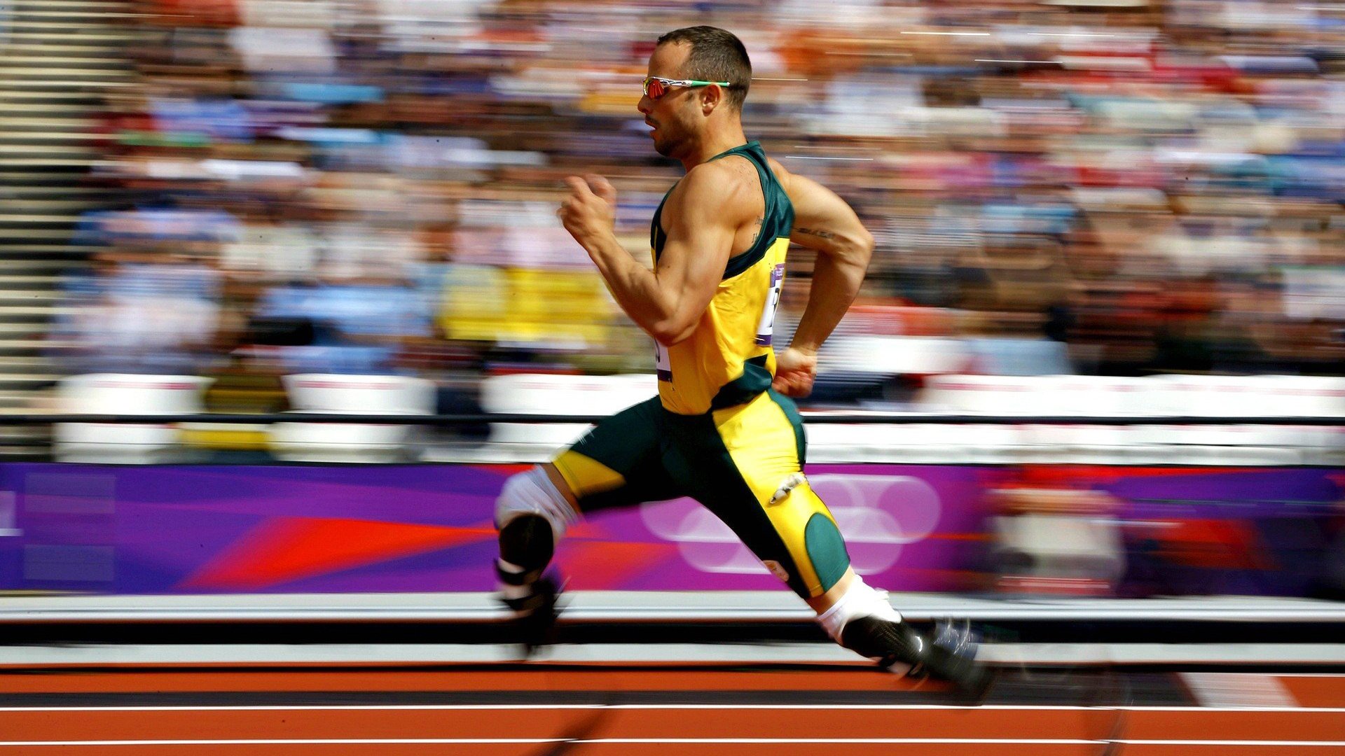 文班亚马一柱擎天狂轰38+15！森林狼窒息防守让辽宁男篮尝到现代篮球的残酷差距