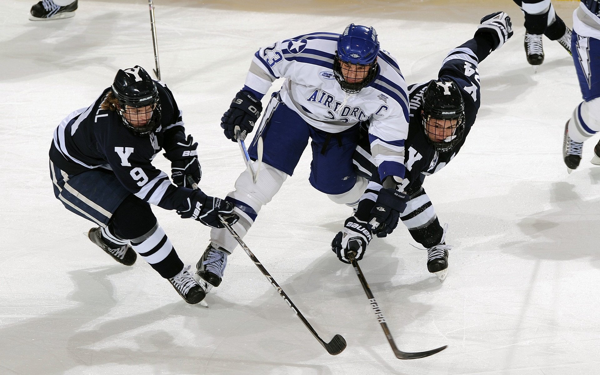 范弗利特攻防转换核心显威，广厦队巧收割雷霆，篮球战术的跨界启示